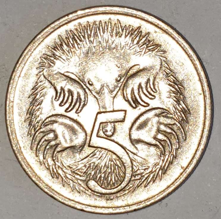1981 - FIVE CENT - 5 CENT - AUSTRALIA - COPPER-NICKEL - KM# 64 - ECHIDNA